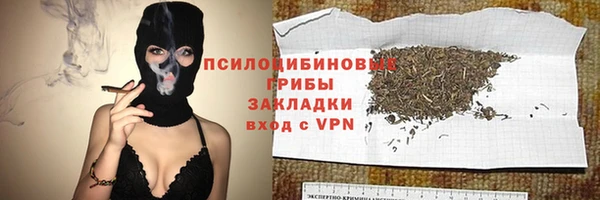 spice Алексин