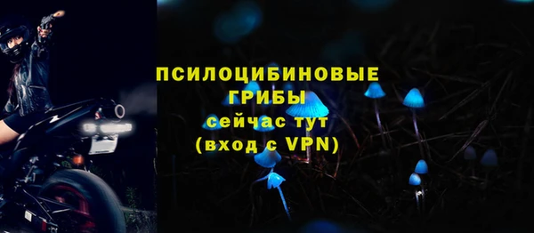 твердый Алексеевка