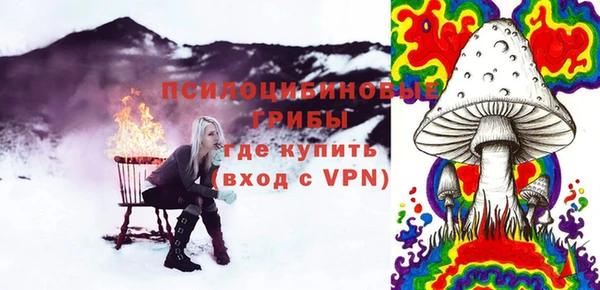 твердый Алексеевка