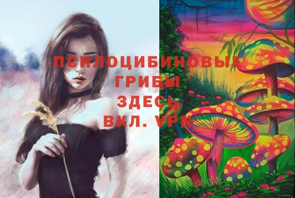 spice Алексин